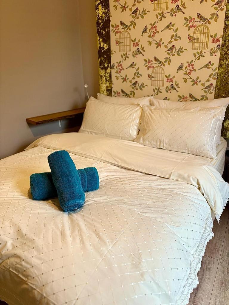Summerhill Guest House Betws-y-Coed Zewnętrze zdjęcie
